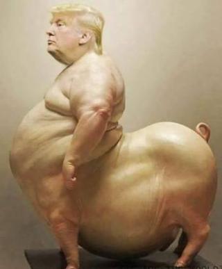 Cerdo Trump
